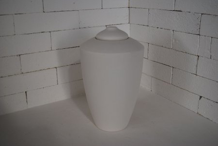 VPNX30