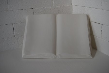 OGLIAP20
